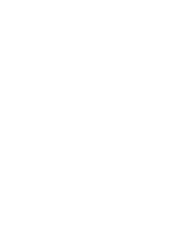 Iubilaeum A.D. MMXXV Peregrinantes in spem